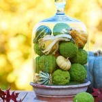 To use the vibrant green coloring in a centerpiece or floral display.