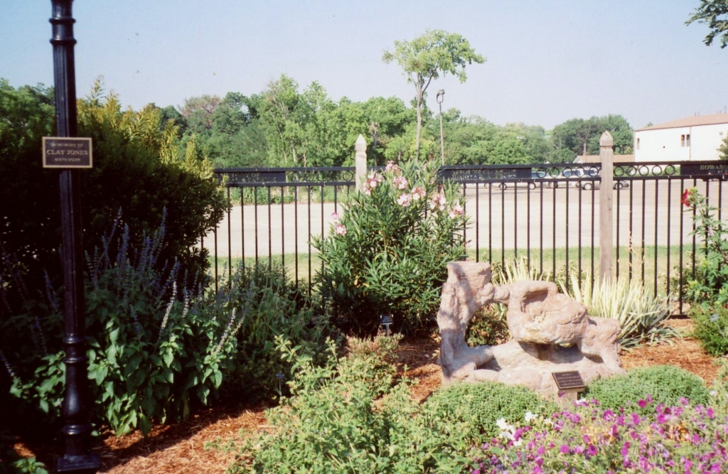 After completion with plants, landscaping, and fence